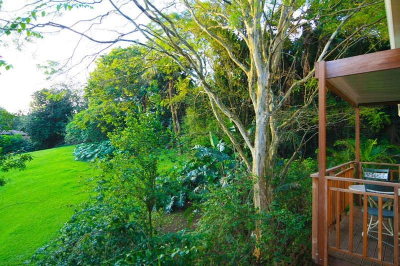 African Tree Lodge主图