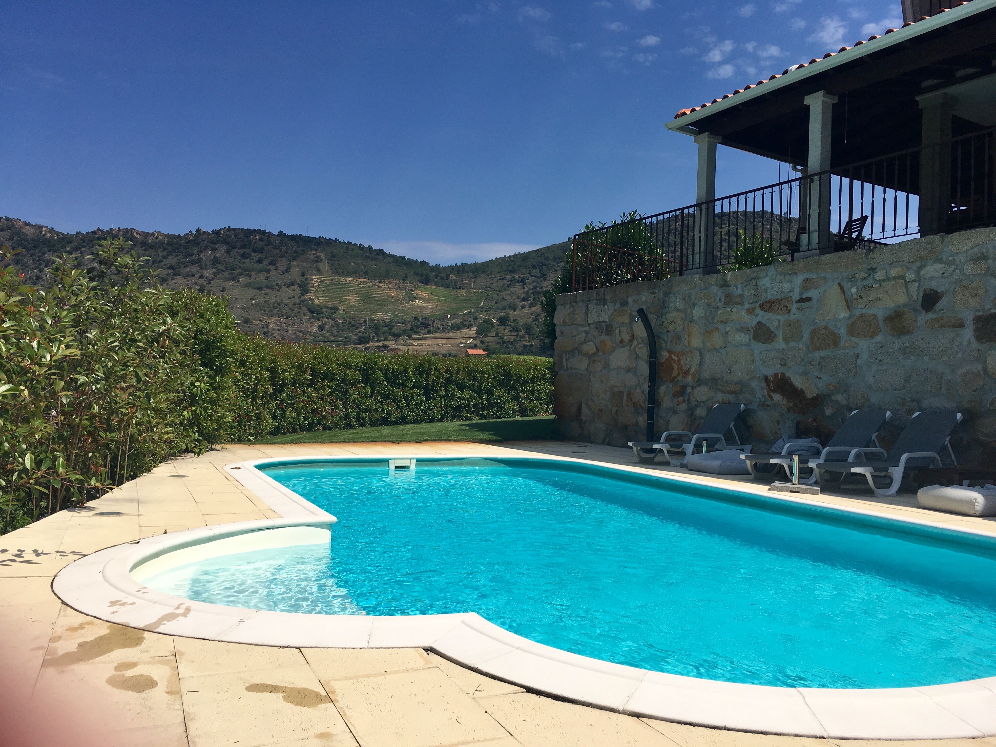 Quinta do Palame-泳池