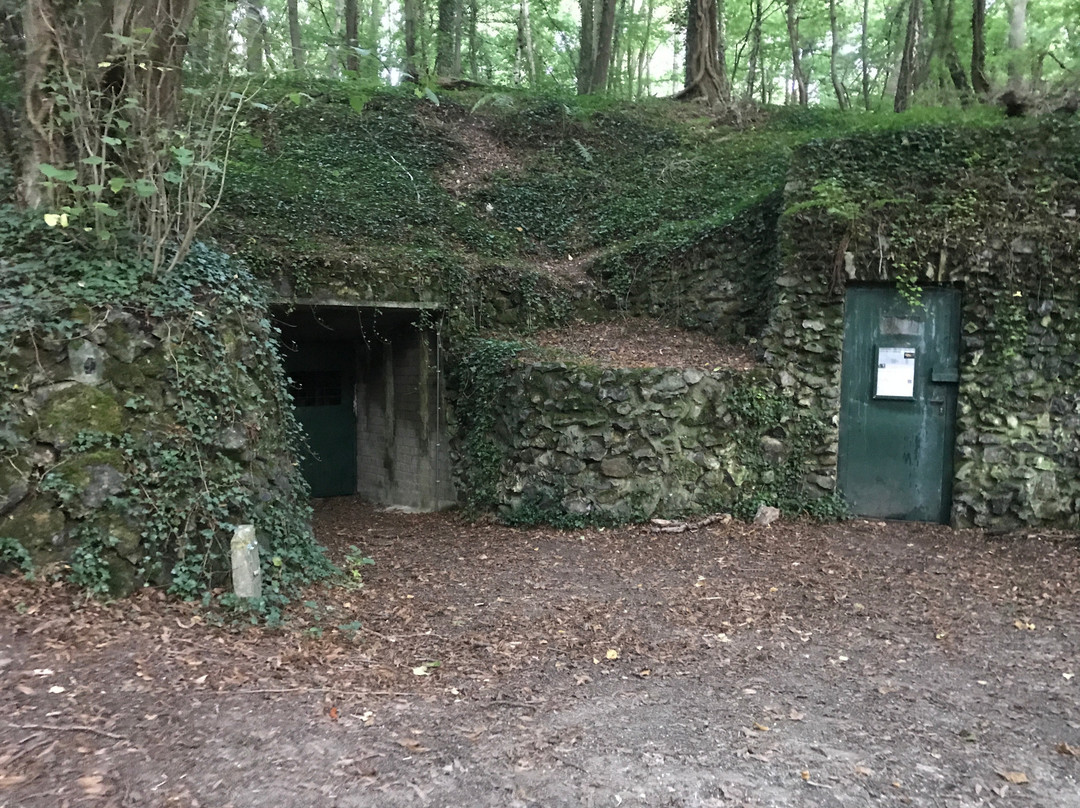 Prehistoric Flint Mines at Rijckholt-St.Geertruid景点图片