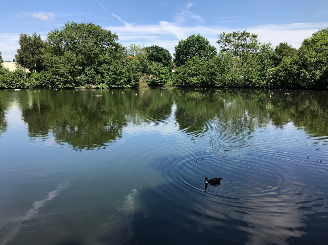 Shirley旅游景点-Tudor Grange Park