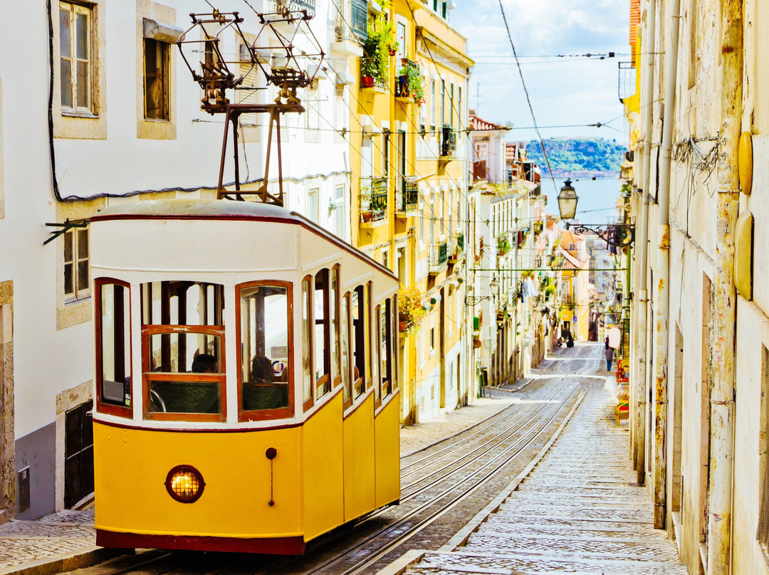 My Lisbon Holidays景点图片