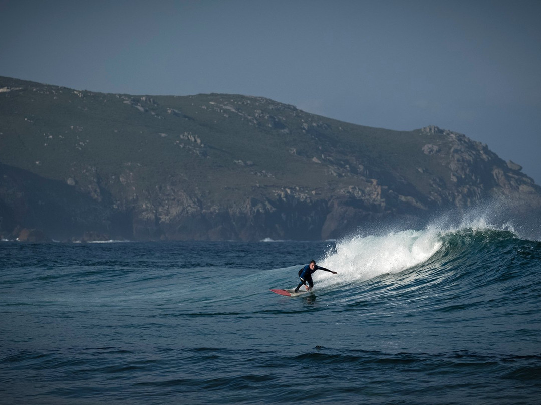 Camino Surf