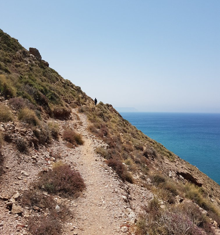 Phare Cap D'aiguille景点图片