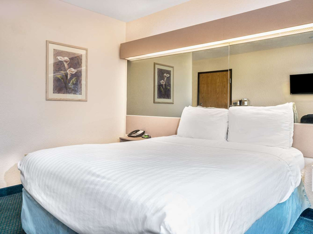 Microtel Inn & Suites by Wyndham Tomah主图