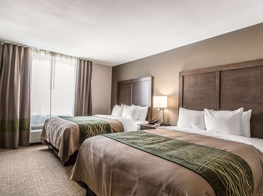 Comfort Inn & Suites主图