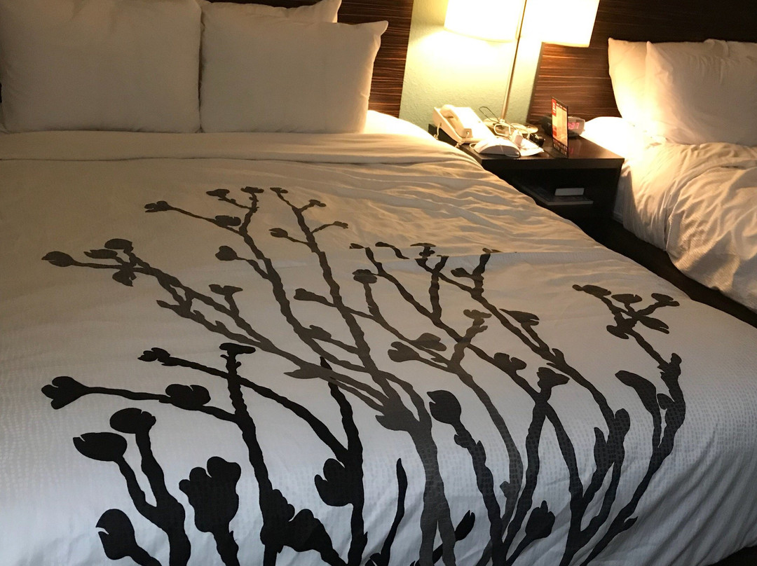 奥本酒店住宿-Sleep Inn & Suites Auburn Campus Area I-85
