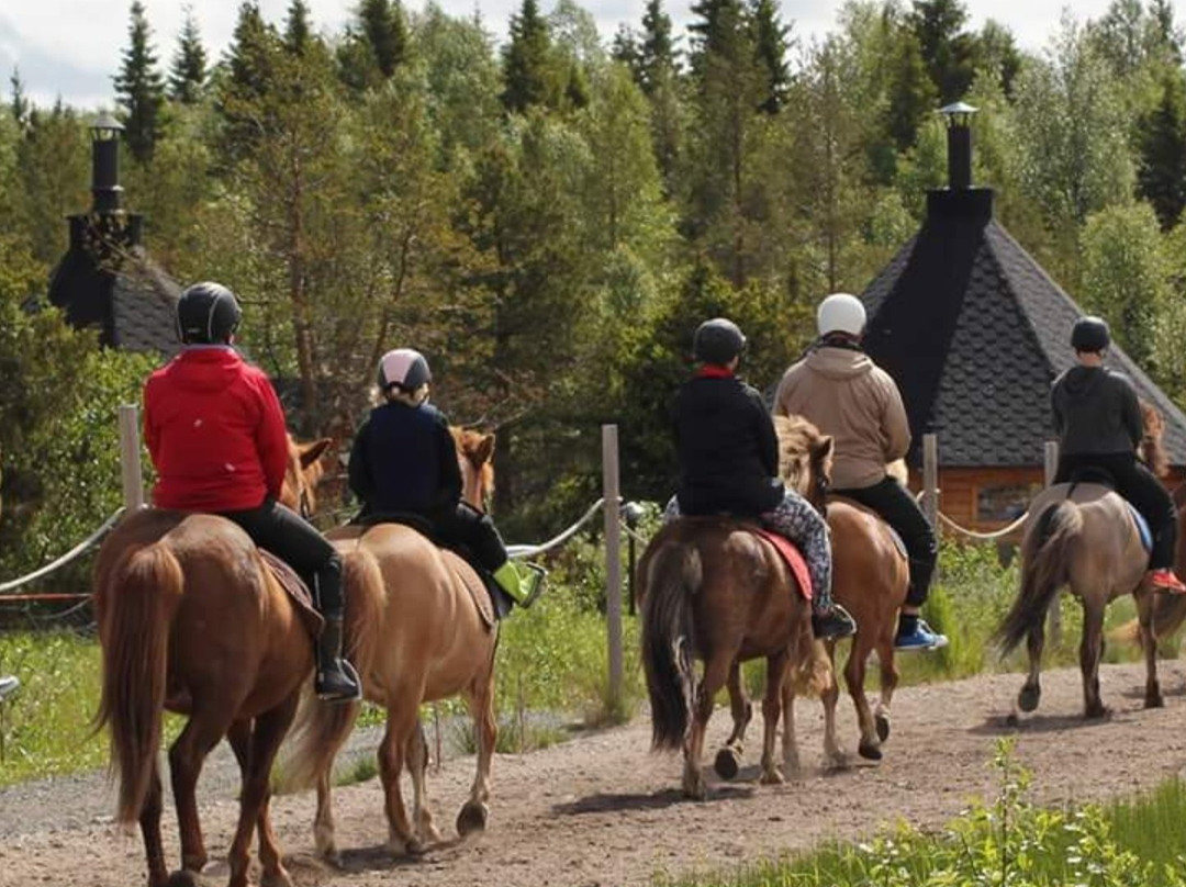 Nurminiemen ratsutila/riding stables-库萨莫必去景点
