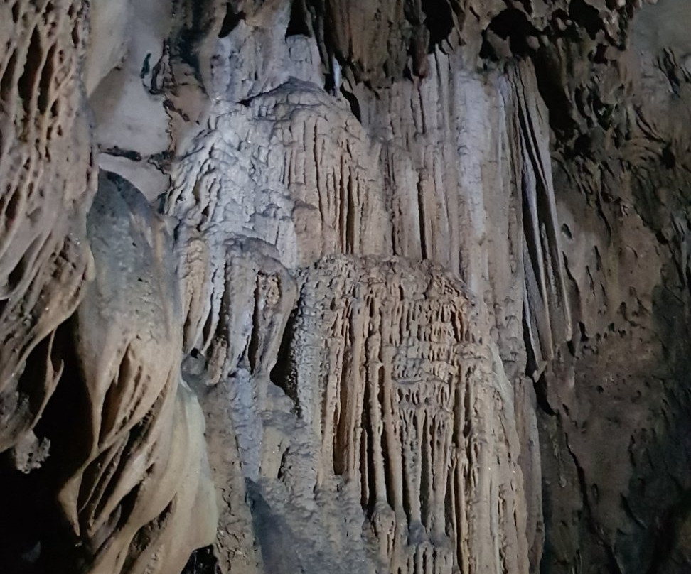 Trung Trang Cave景点图片