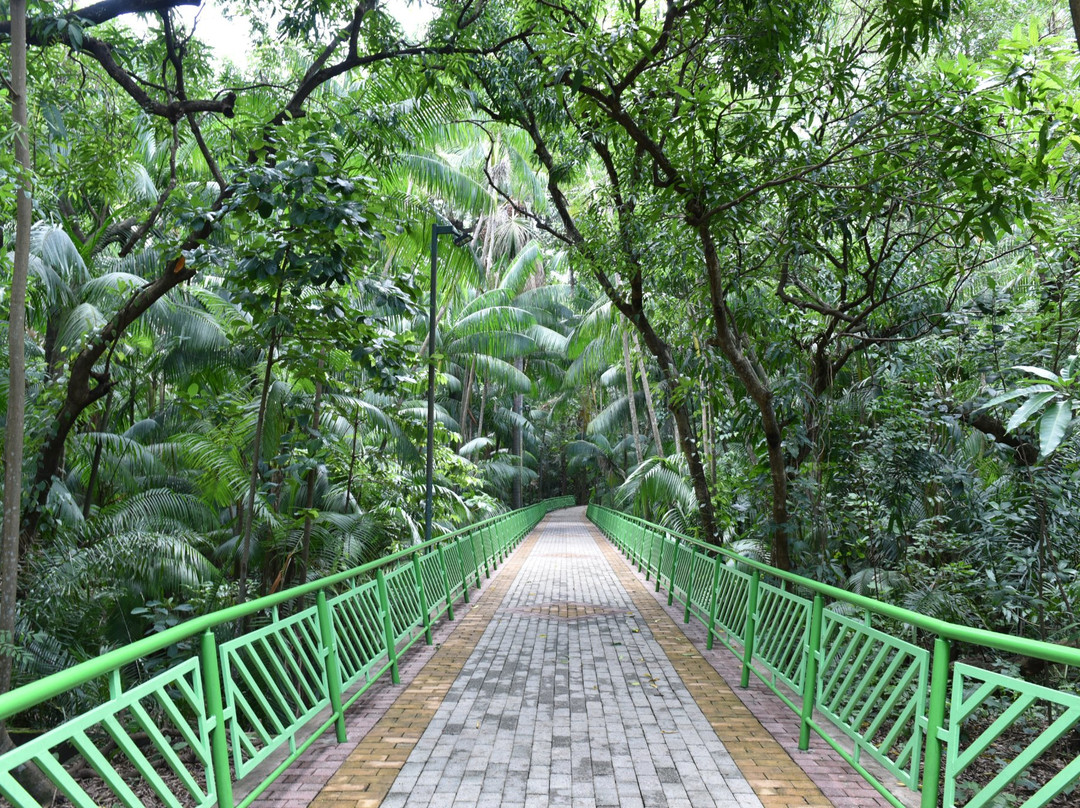 Parque Botanico Vale景点图片