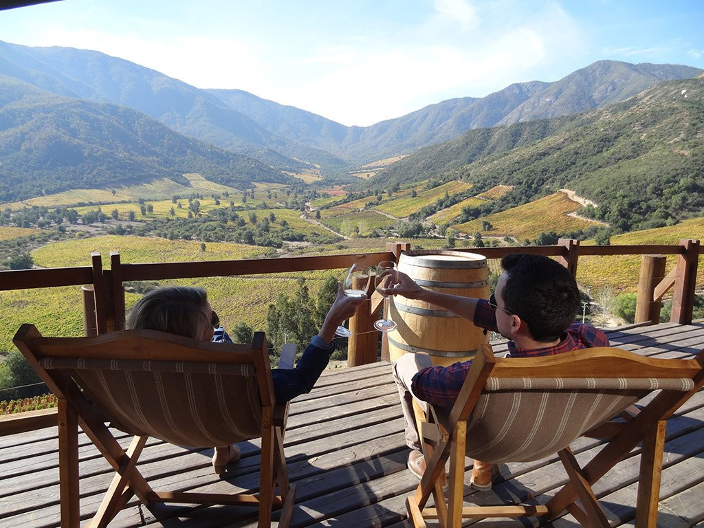 Colchagua Wine Tours-圣克鲁斯必去景点