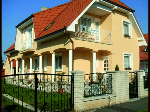 Erika Vendeghaz主图