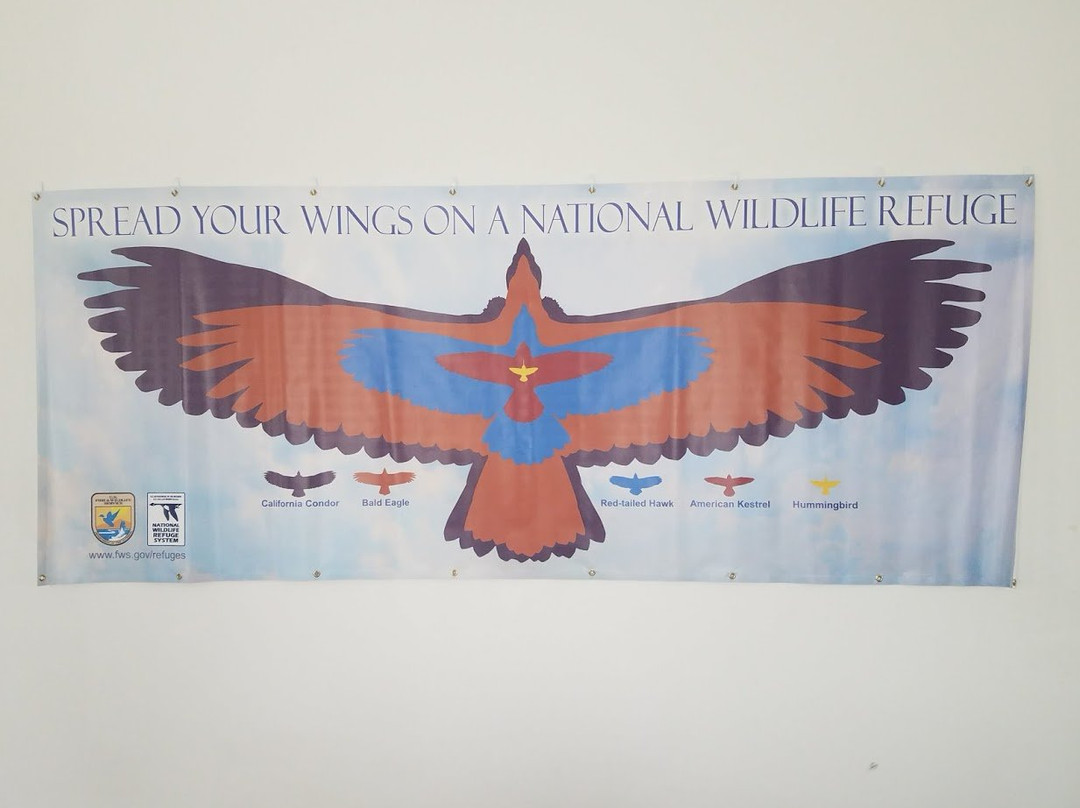 Saint Vincent National Wildlife Refuge景点图片