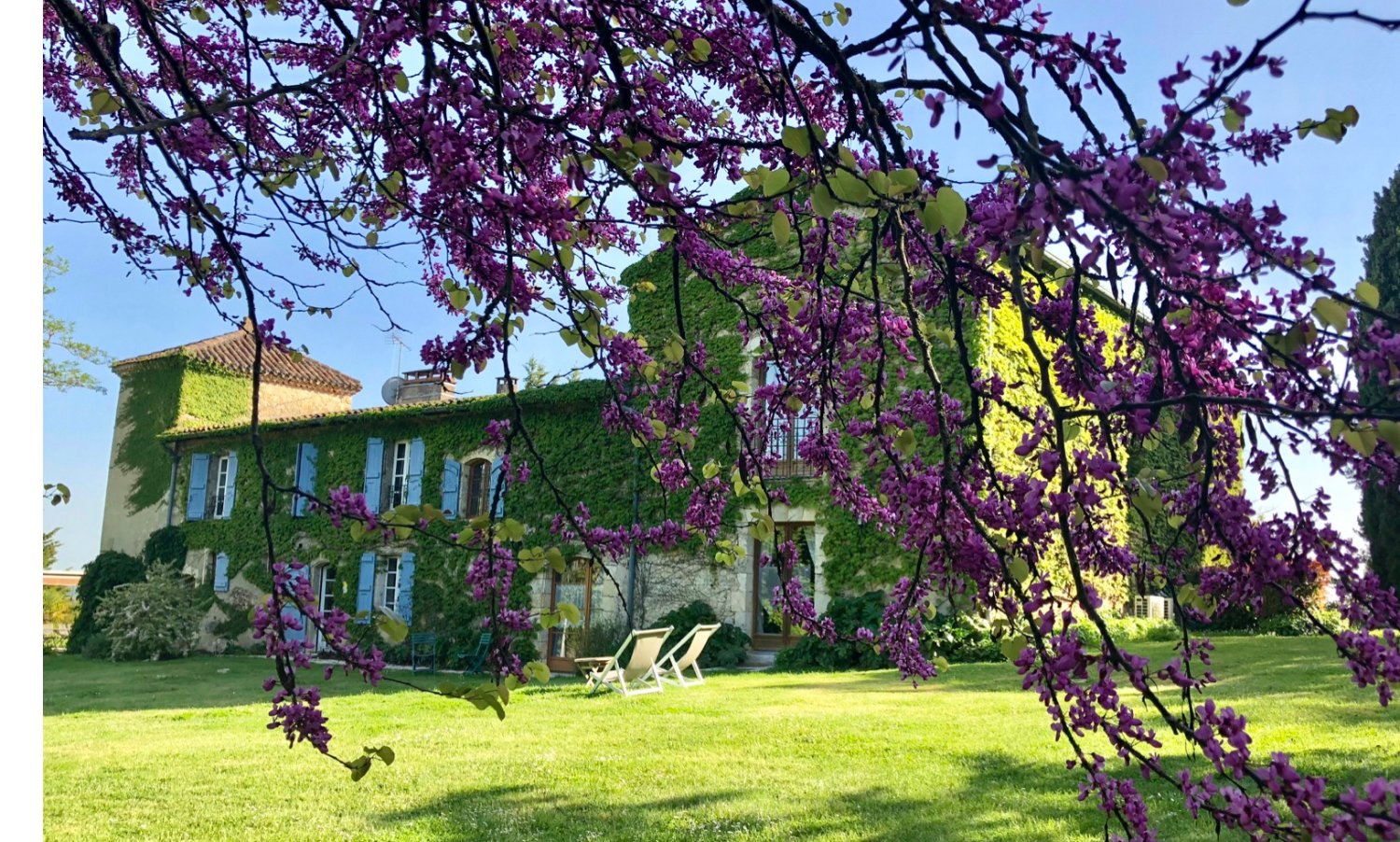 Maison Ardure-官方