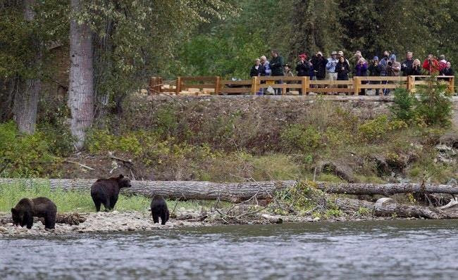 Bella Coola Valley Visitor Information Booth-Bella Coola必去景点