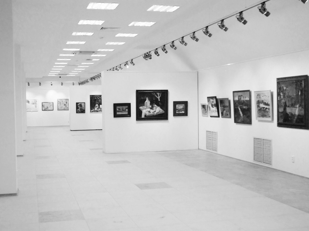 Fine Arts Centre景点图片