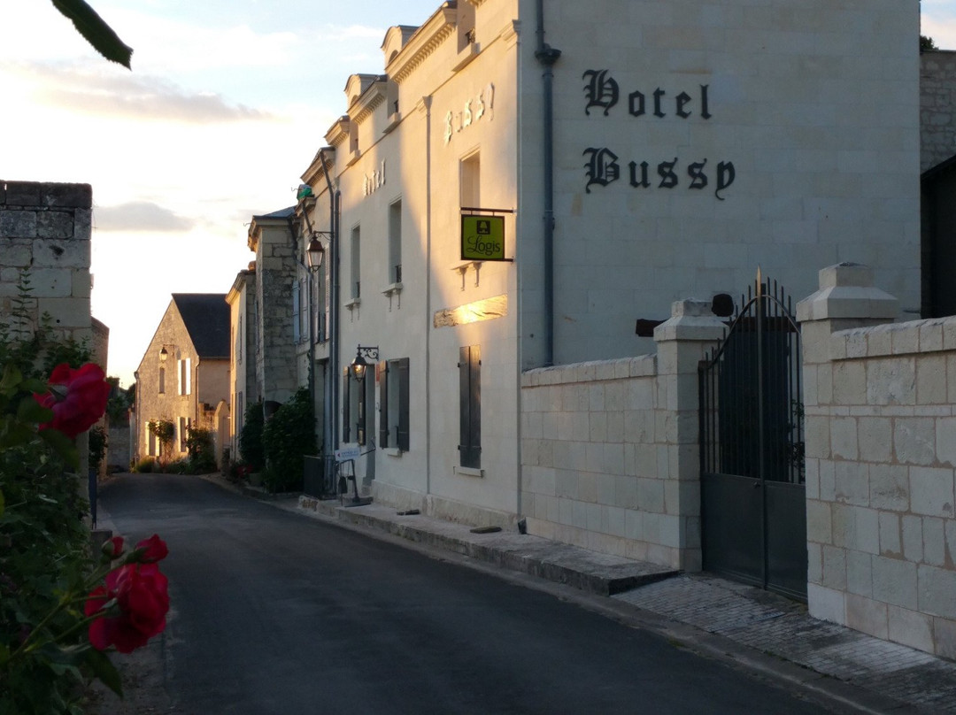 Hôtel Le Bussy主图