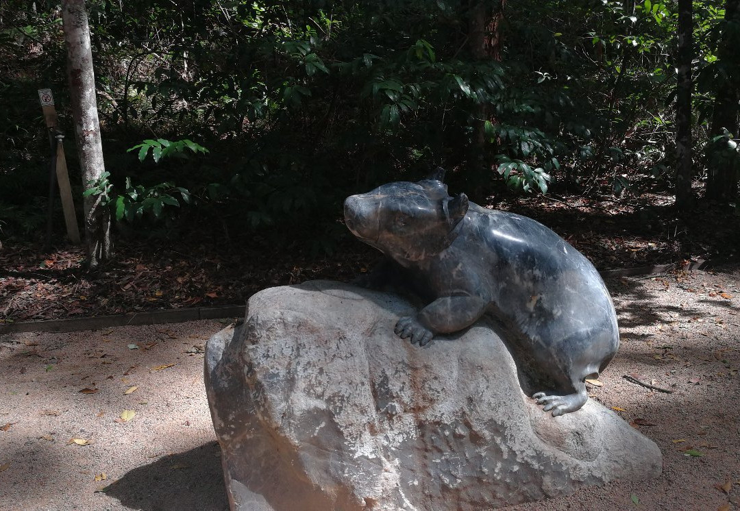 Maroochy Regional Bushland Botanic Garden景点图片