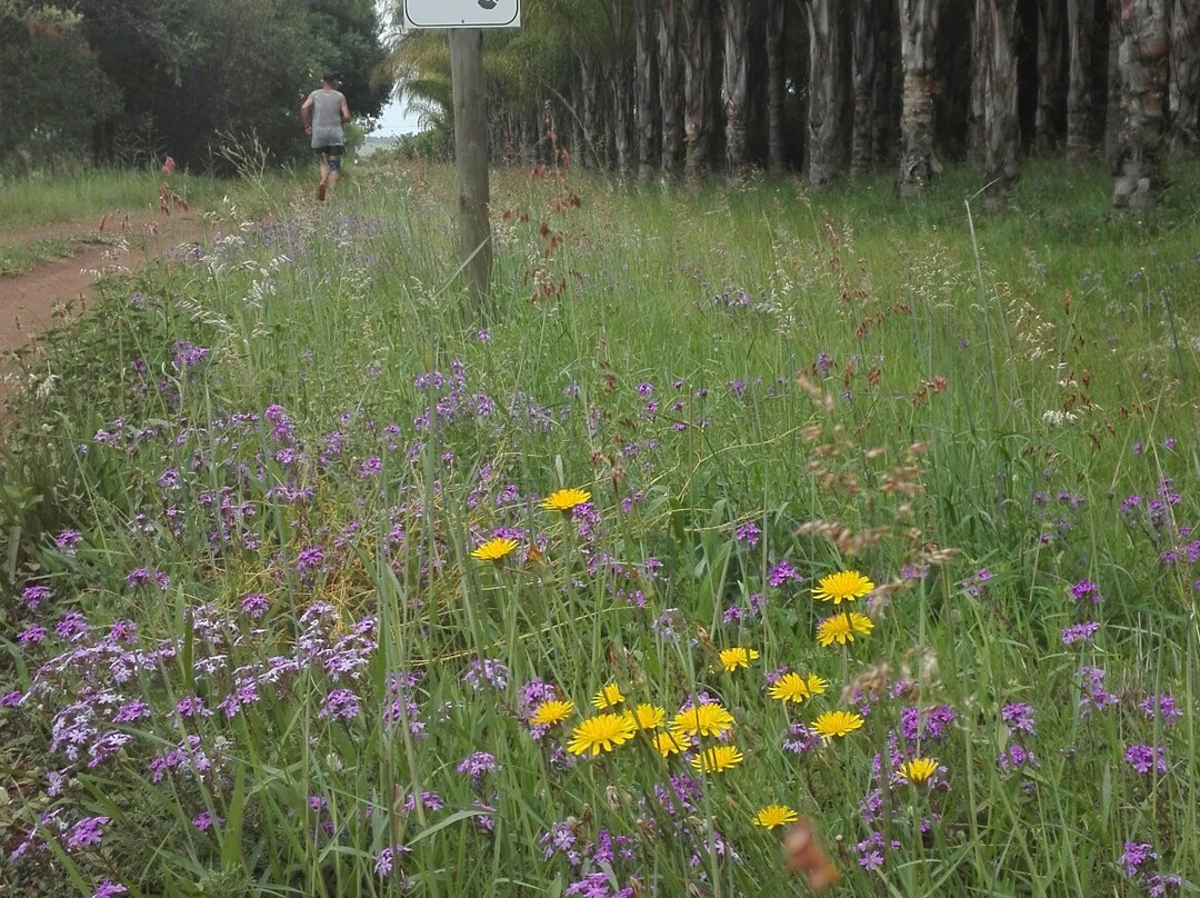 Buffelsdrift MTB Park-比勒陀利亚必去景点