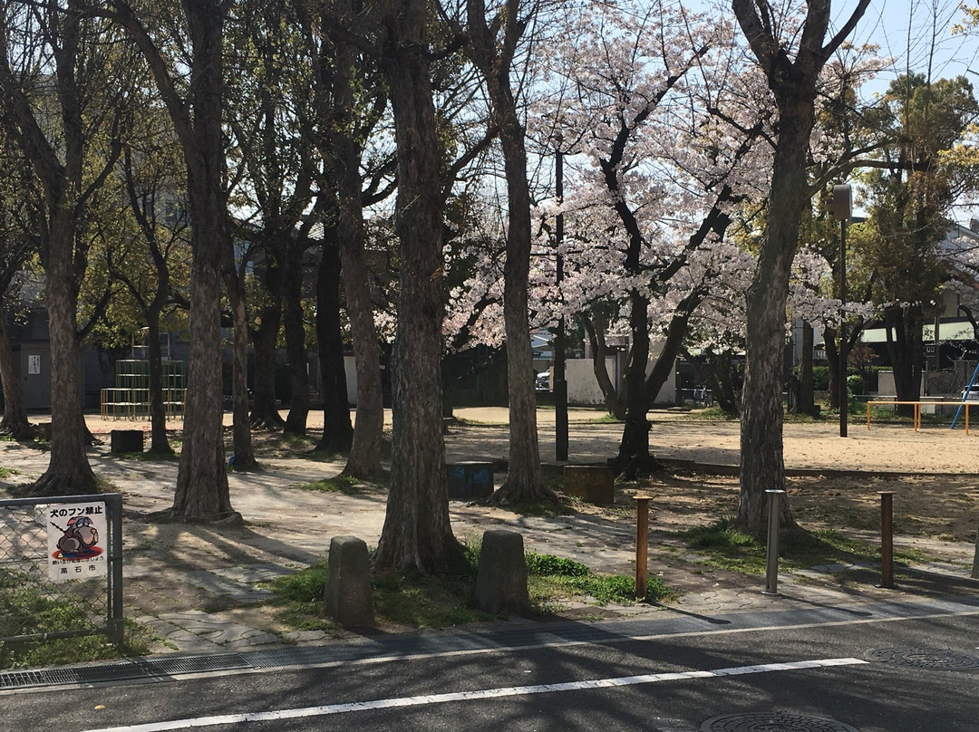 Otoshi Park景点图片