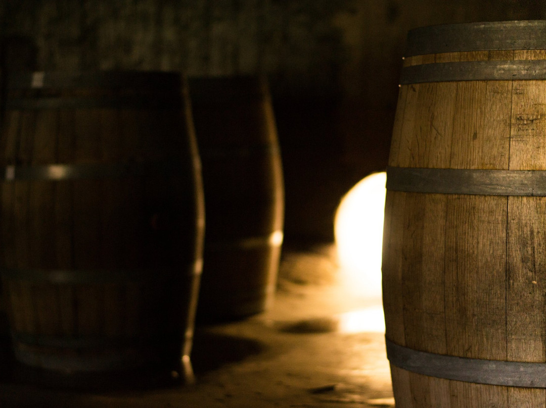 Bodega y Viñedos Garbin-圣拉斐尔必去景点