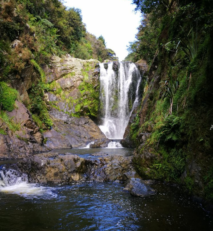 Piroa Falls Track景点图片