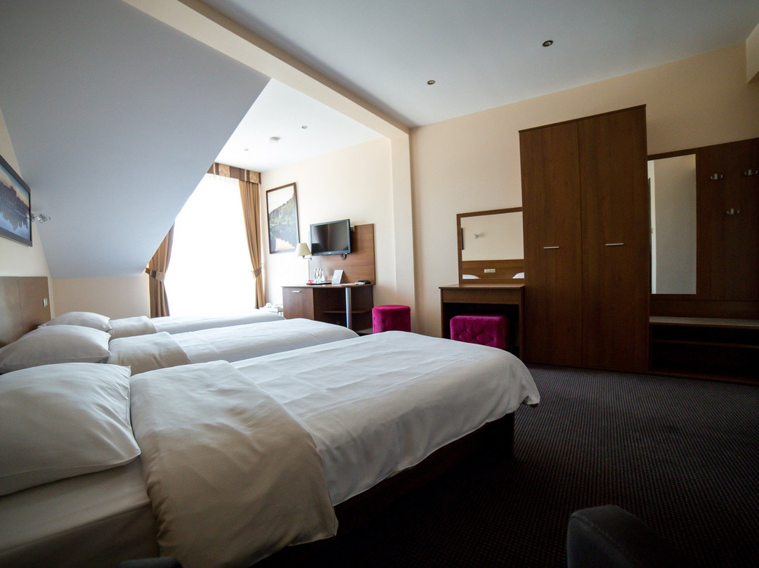 Hotel Sokolowska主图