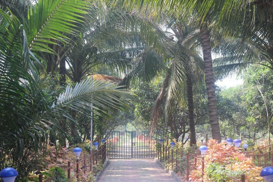 Vasantshrushti Farm-家庭/游戏区