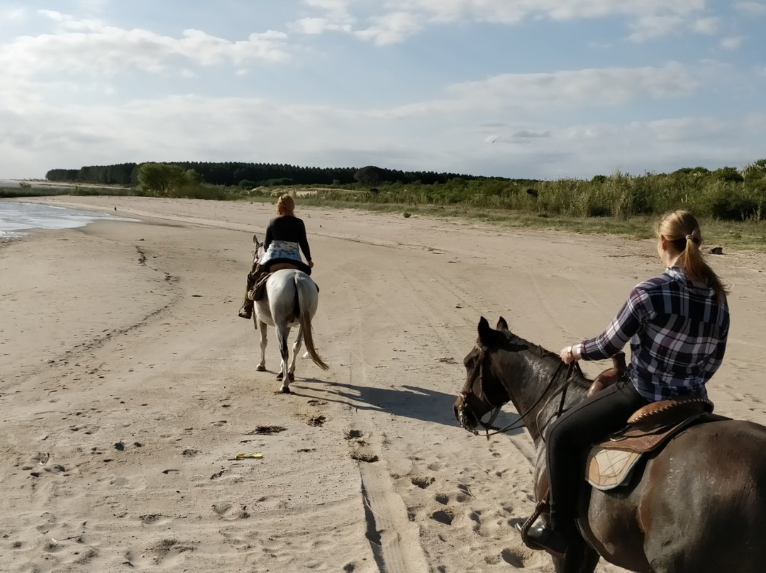 Cabalgatas Ikebana Colonia-科洛尼亚·德尔萨克拉门托城必去景点