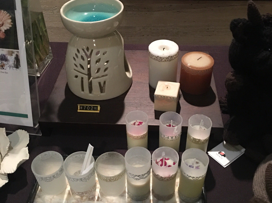 榕树水疗会-上海市必去景点