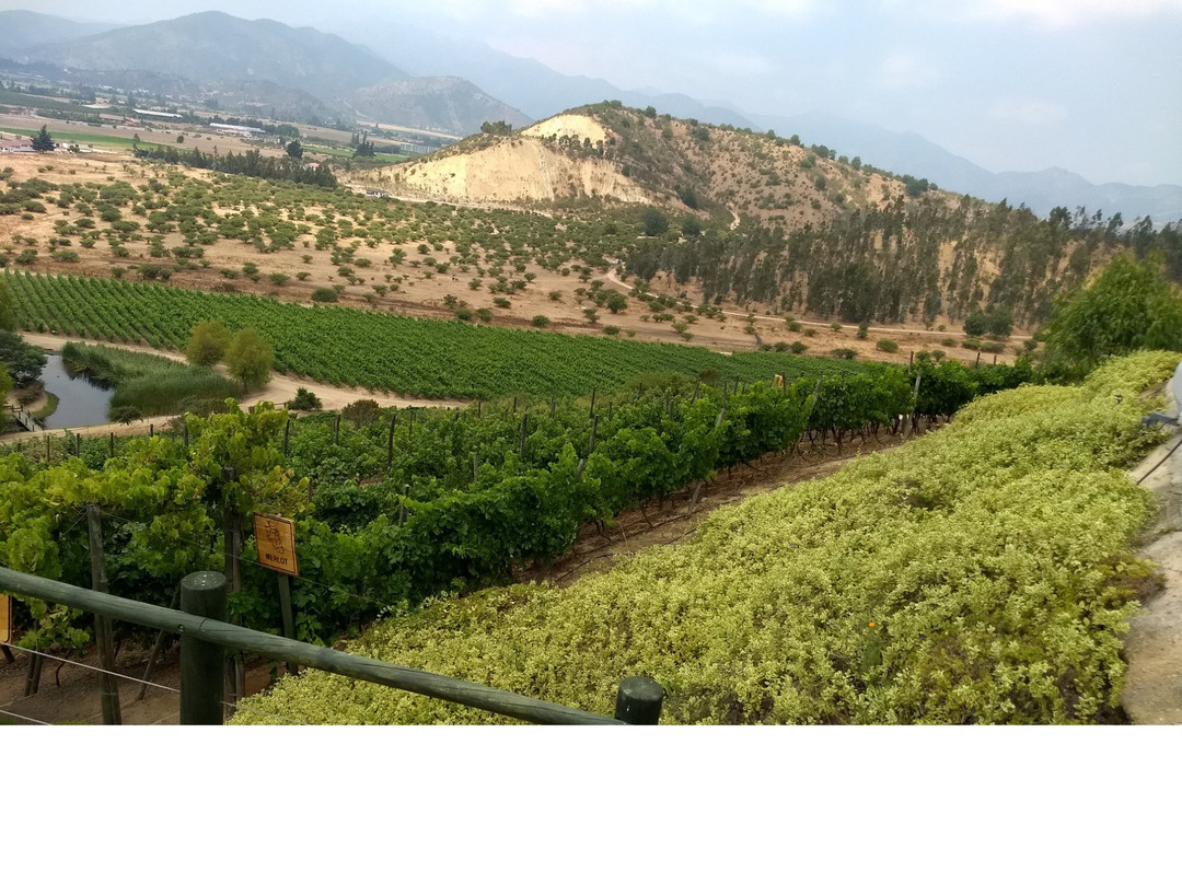 卡萨布兰卡旅游攻略图片