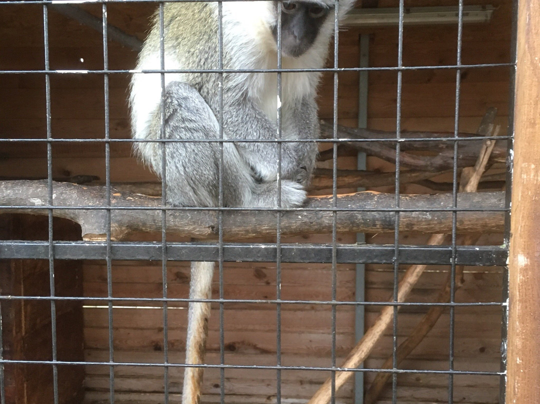 Tierpark Donnersberg景点图片