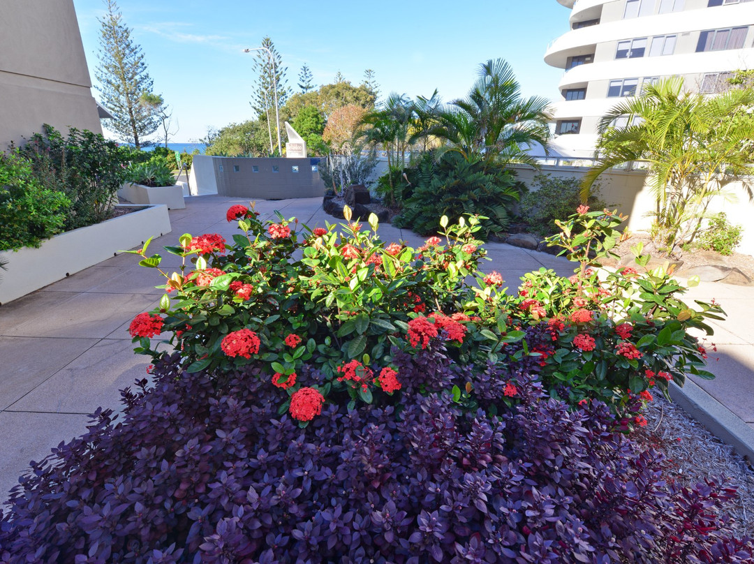 埃尔多拉多广场酒店主图
