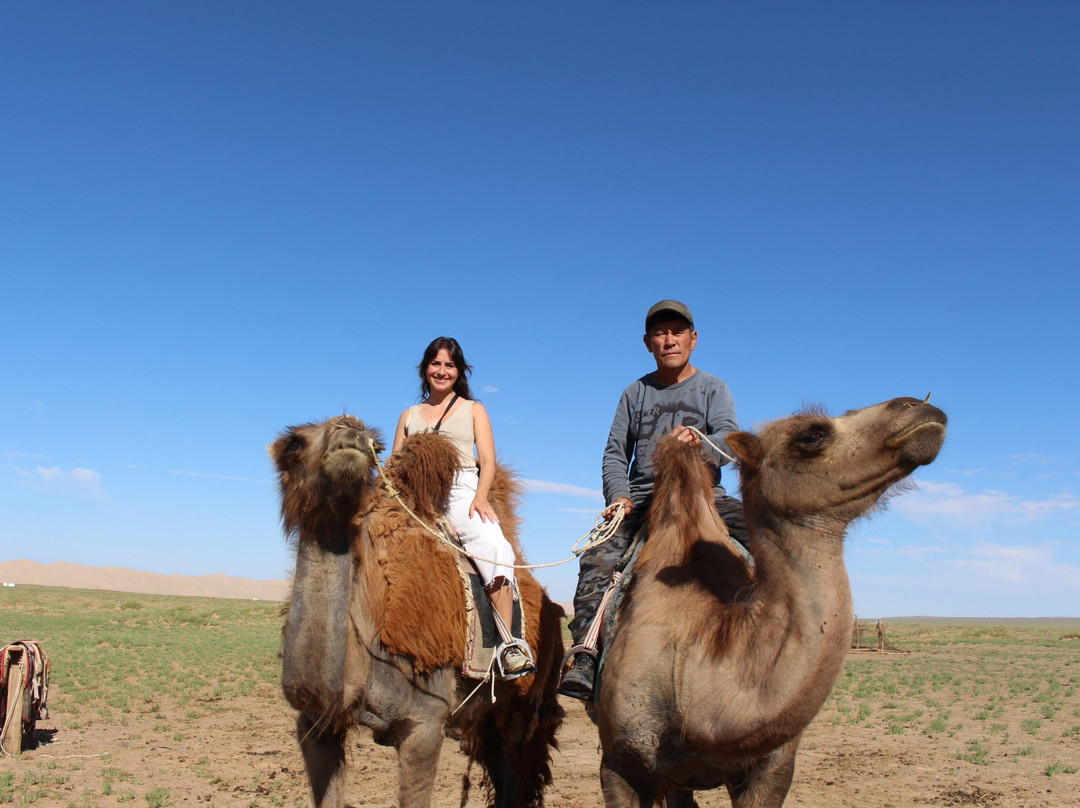 True Mongolia Travel-乌兰巴托必去景点