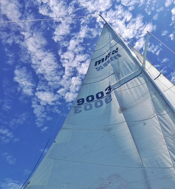 Harbour Sail-阿卡罗阿必去景点