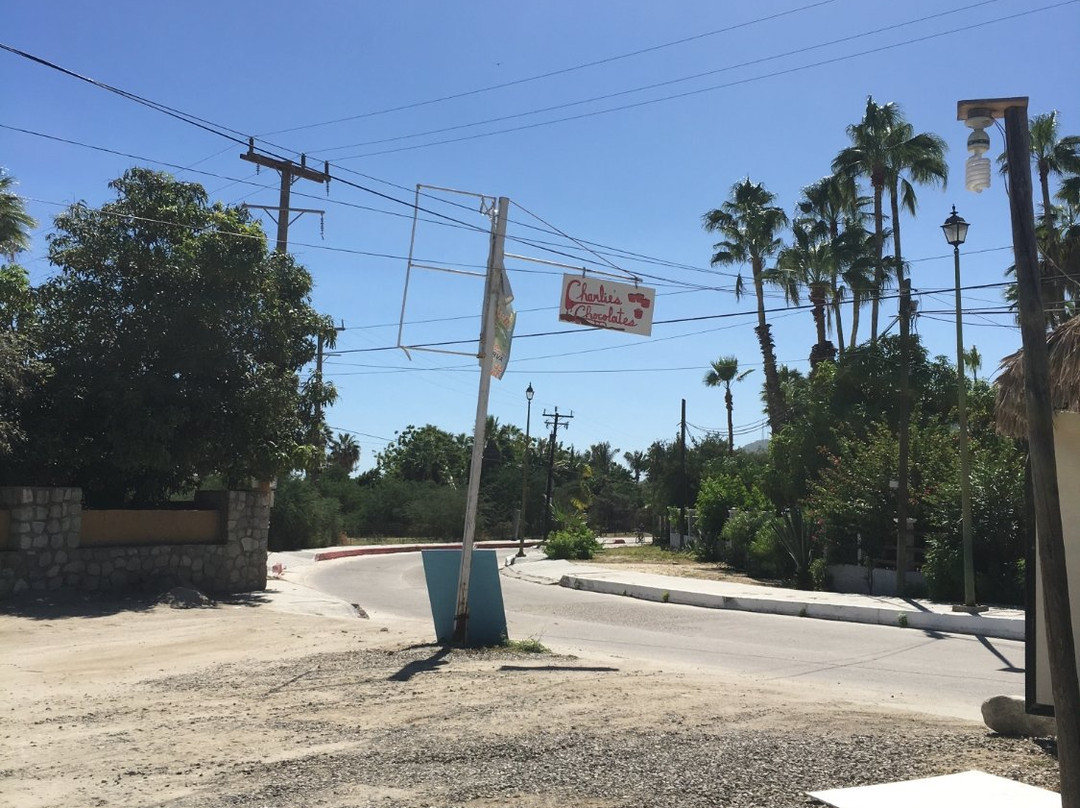 Charlie's Chocolates-Los Barriles必去景点