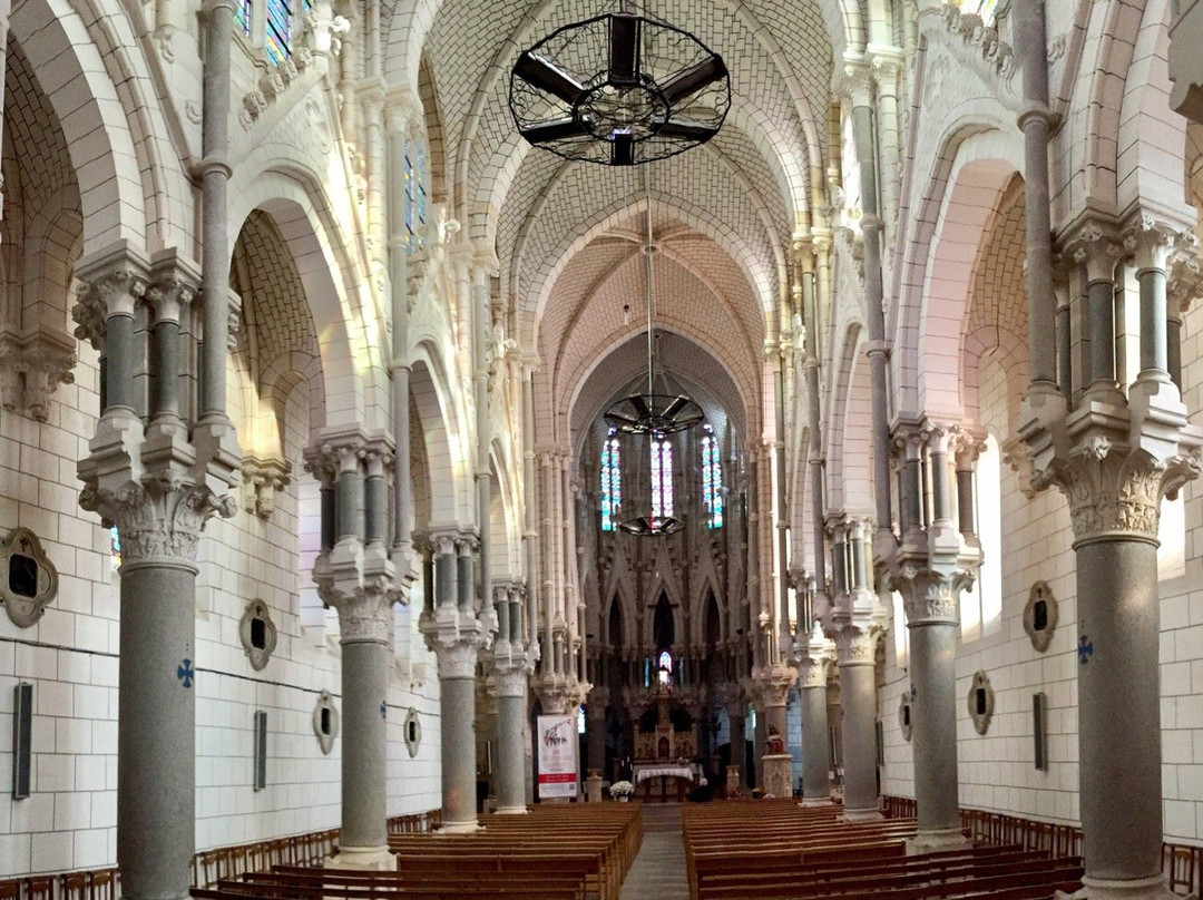 Basilique Notre-Dame de Pitié景点图片