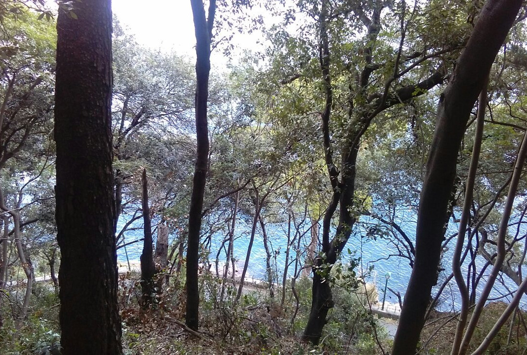 Castello di Paraggi-圣马尔盖里塔利古雷必去景点