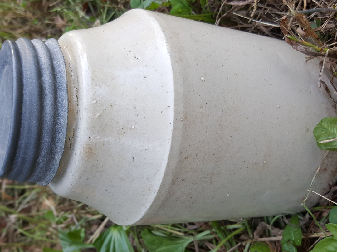 Wentzville Flea Market-Wentzville必去景点