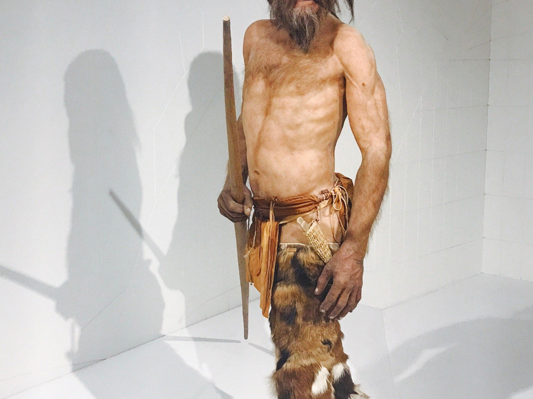South Tyrol Museum of Archaeology景点图片