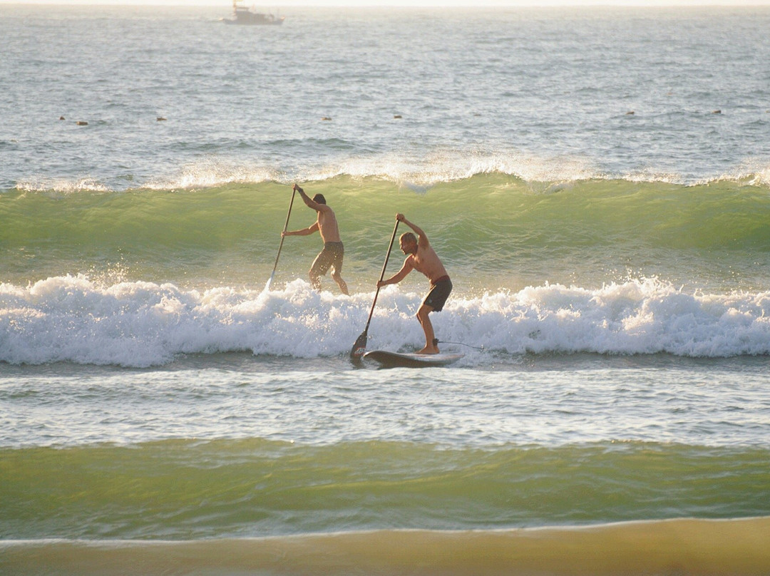 RIDS Surf Club景点图片