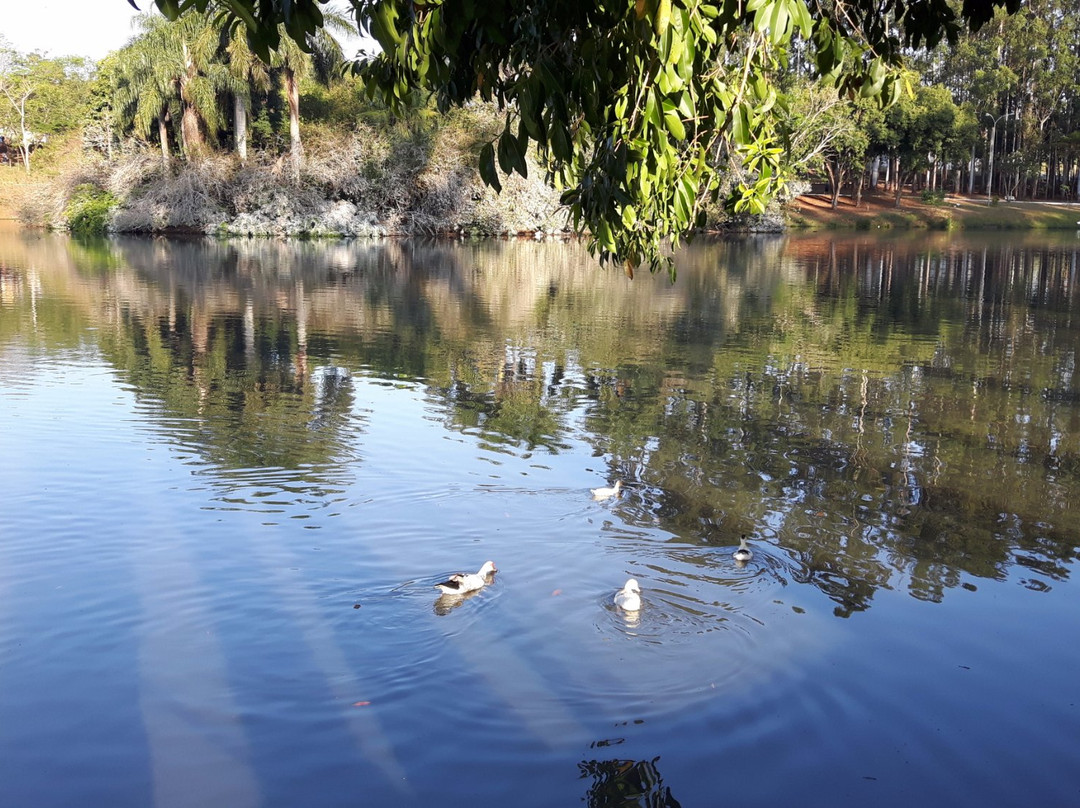 Parque Ecologico e Cultural Gilberto Ruegger Ometto景点图片