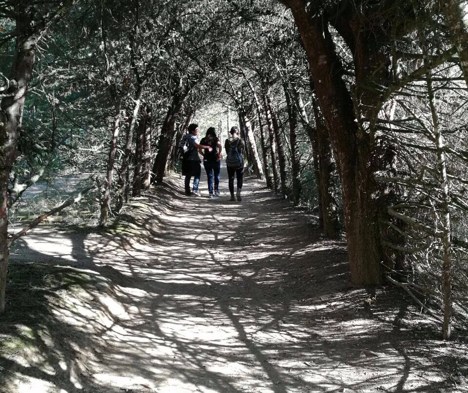 Mirador Taraccasa-Abancay必去景点