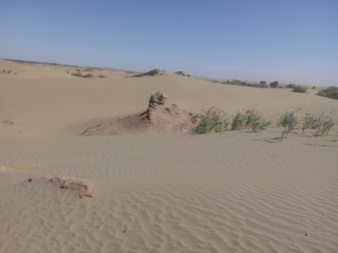 Silk Road Angel Tours-敦煌市必去景点