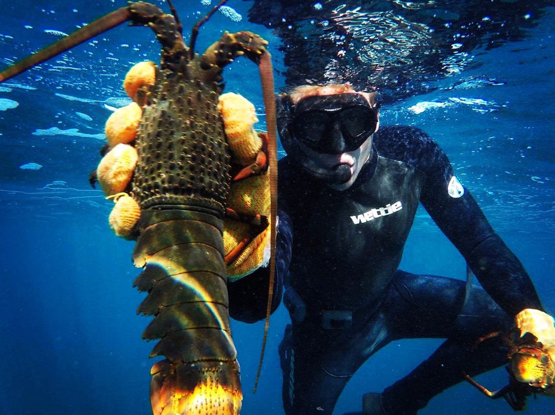 Australia's Coastal Wilderness Adventures