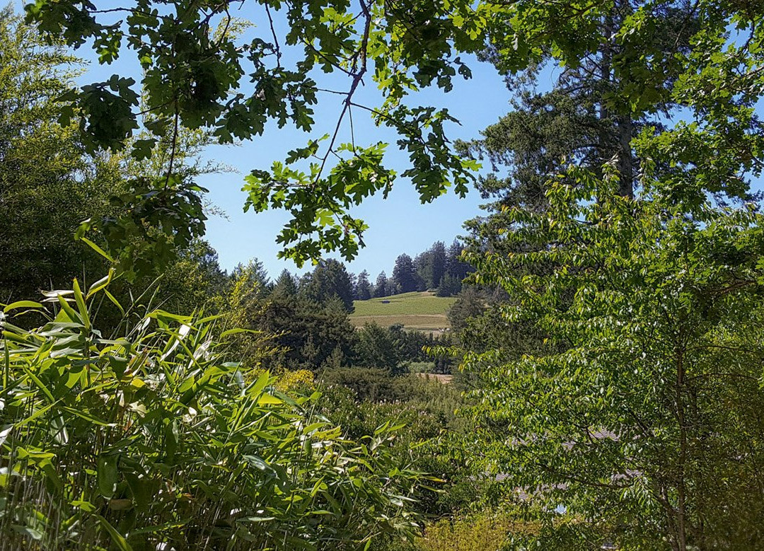 Bamboo Sourcery Nursery & Gardens-Sebastopol必去景点