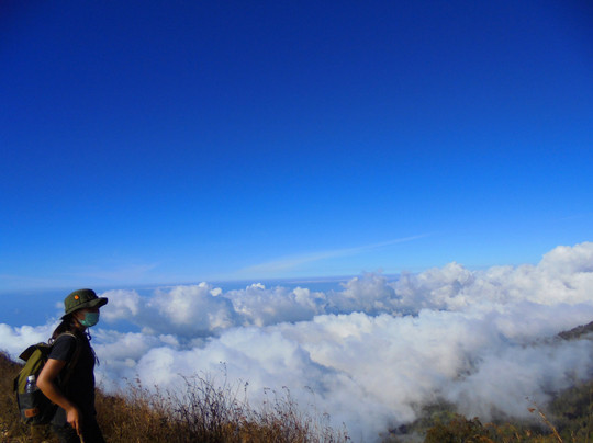 Novi's Tour-Senaru必去景点