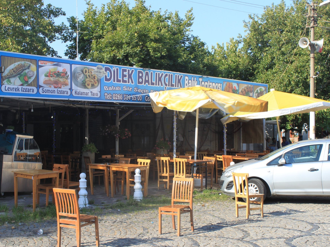 Dilek Balikcilik
