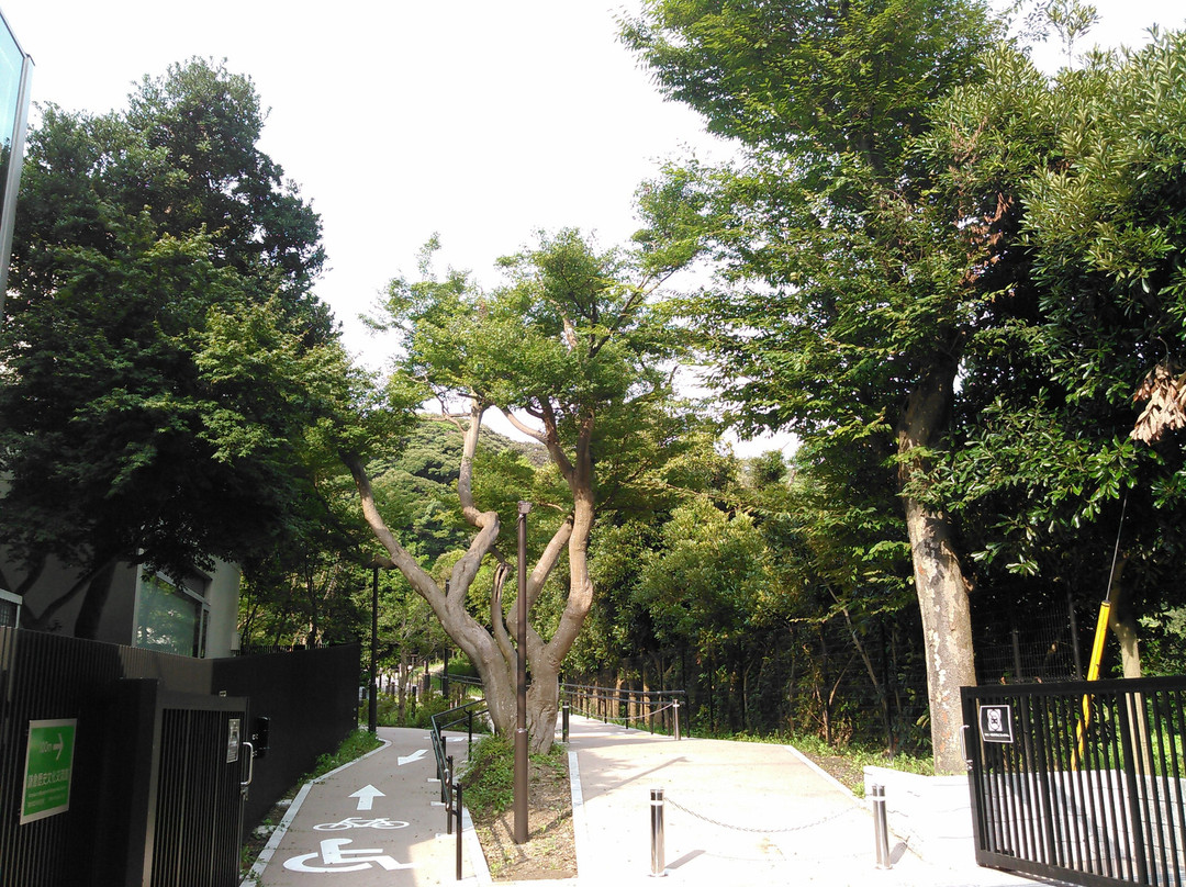 Kamakura Museum of History and Culture-镰仓市必去景点