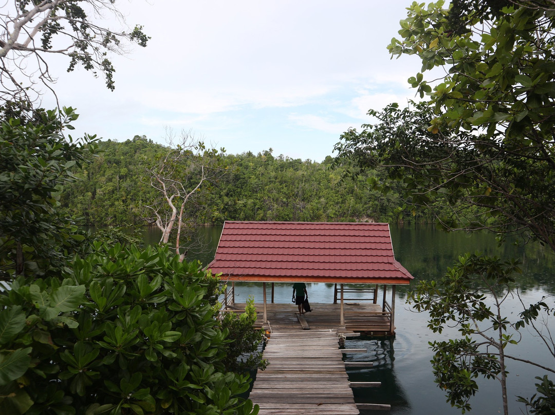 Lake Mariona景点图片