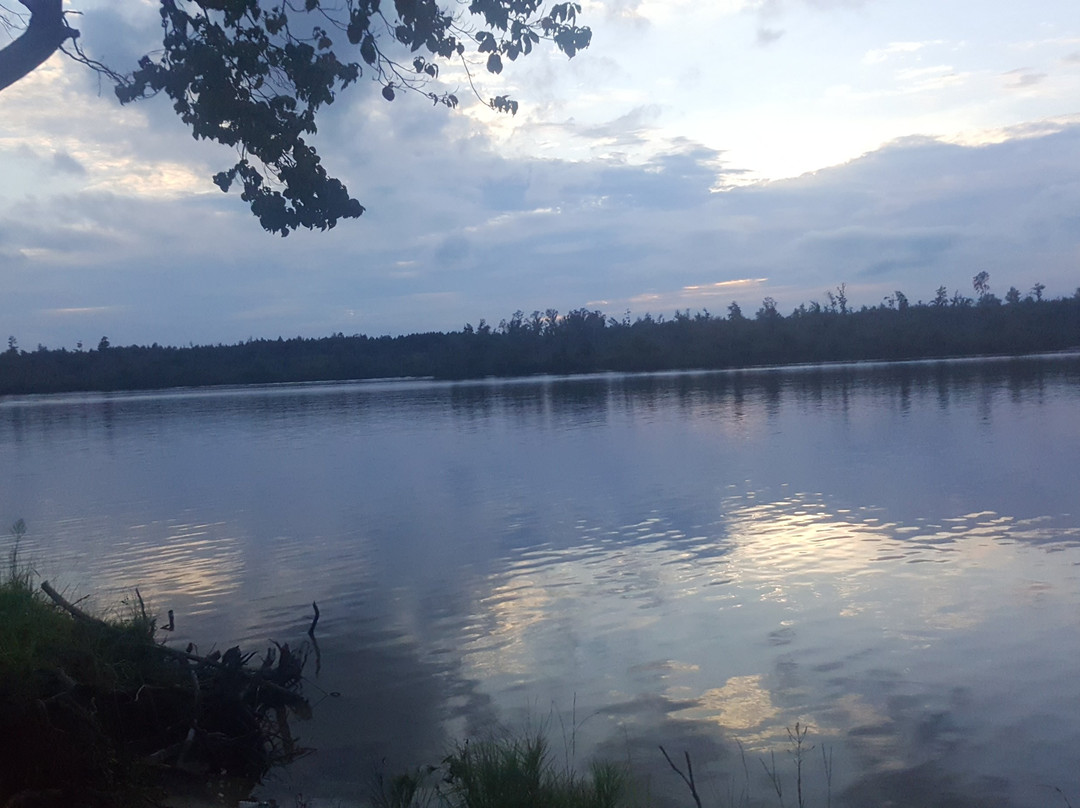 Elvis Presley Lake and Campground景点图片